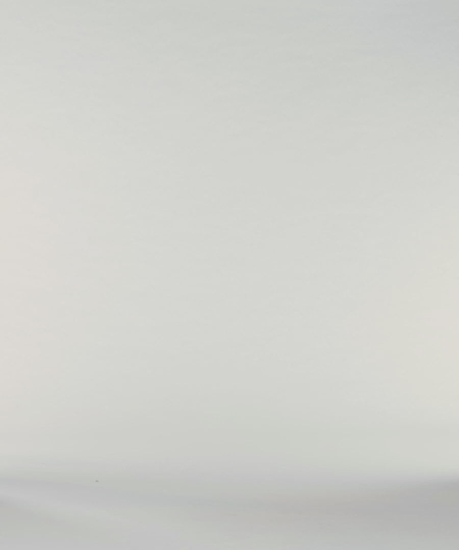 Essential Crewneck Tee - Paradise