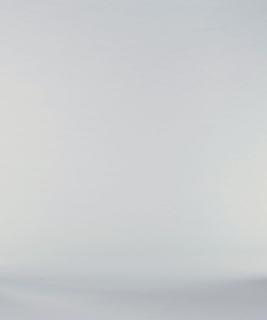 Essential Crewneck Tee - Purple