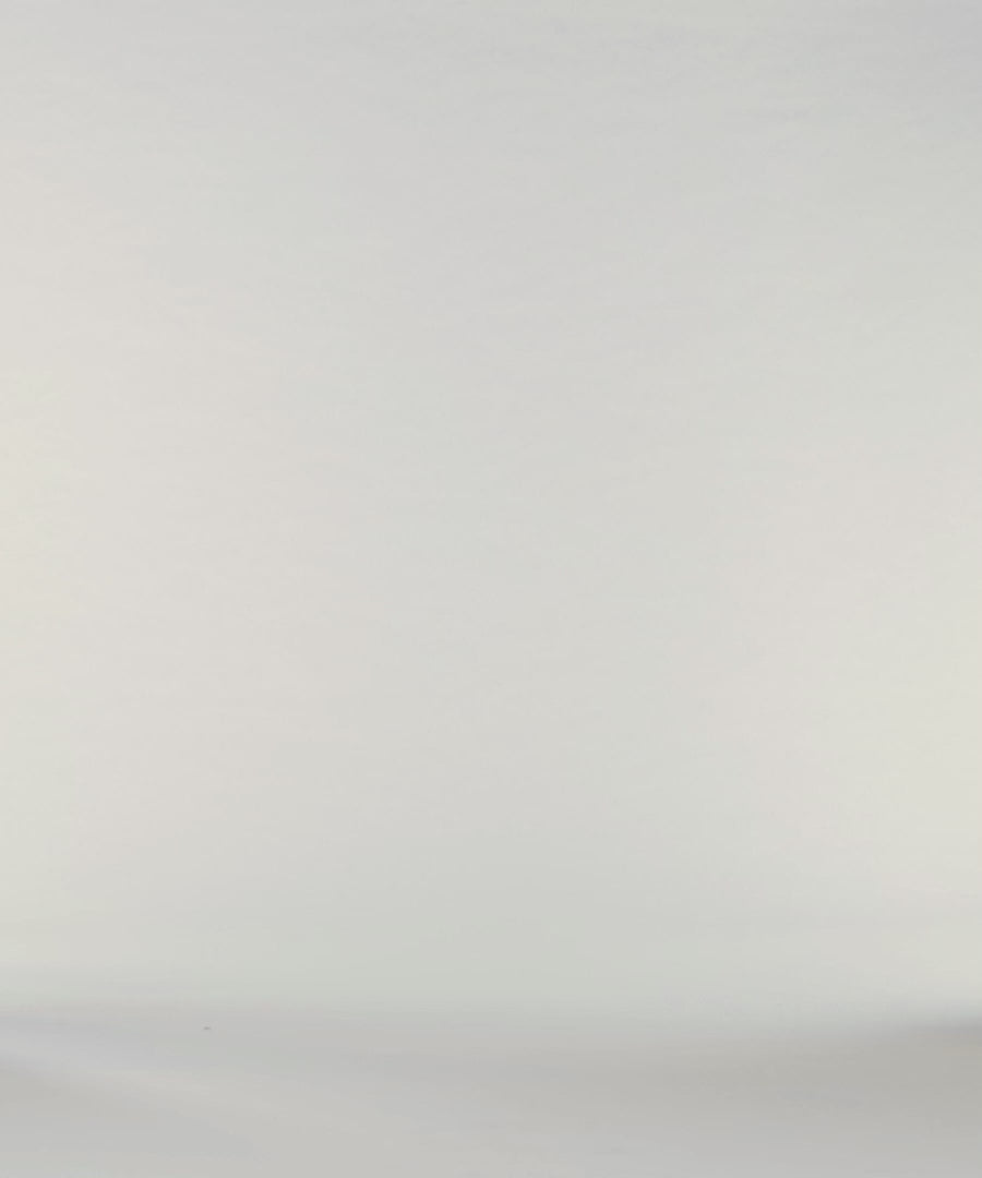 Men's High V-Tee - Paradise