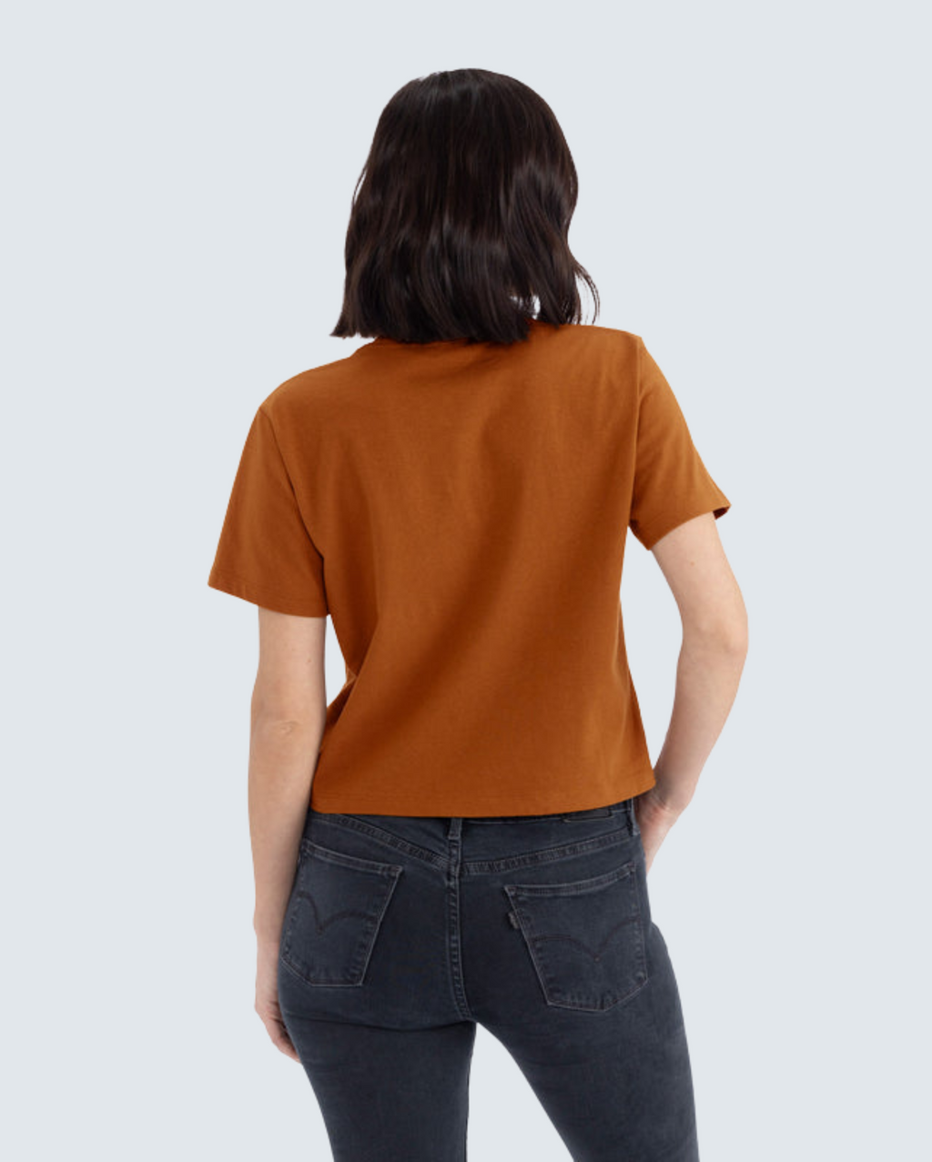Women's Heavyweight High-Waist Boxy Tee - Clay