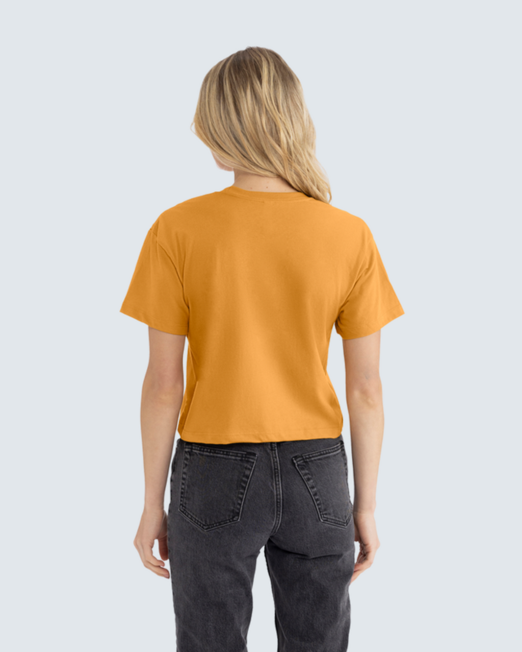Women's Ideal Crop Tee 5-Pack