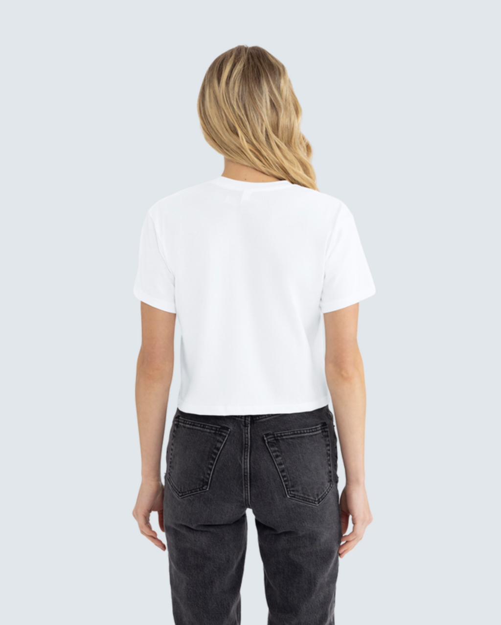 Women's Ideal Crop Tee 5-Pack